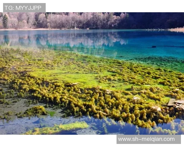 探索摩尔特里之美：自然风光与人文魅力的完美结合