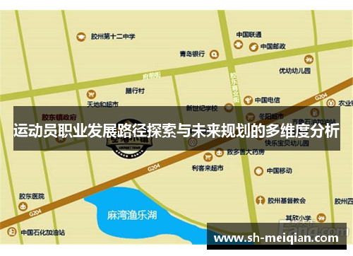 运动员职业发展路径探索与未来规划的多维度分析