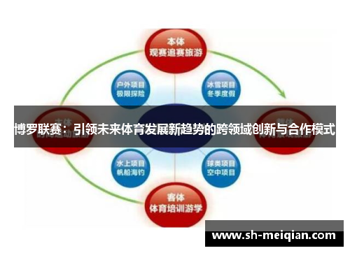 博罗联赛：引领未来体育发展新趋势的跨领域创新与合作模式