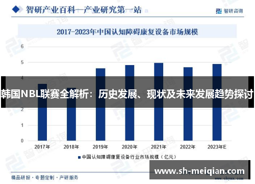 韩国NBL联赛全解析：历史发展、现状及未来发展趋势探讨